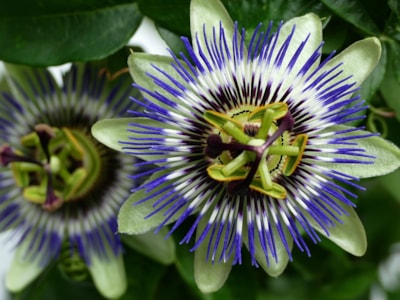 Ruhepunkte in der Passion